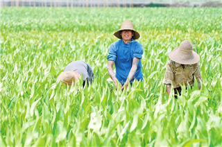 没有农业就谈不上农民！