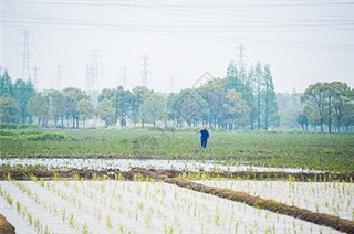 土壤墒情监测仪对现代农业用水的监测作用